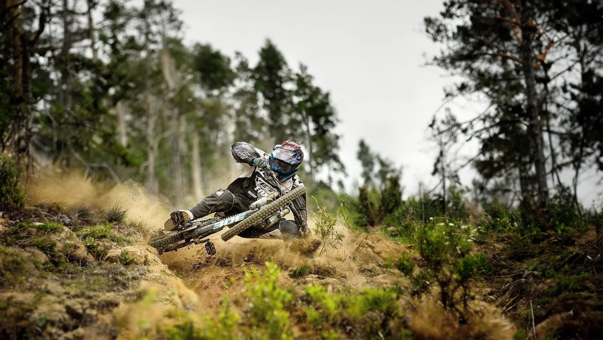 Mountainbiker in Schräglage auf einem staubigen Singletrail zwischen Bäumen