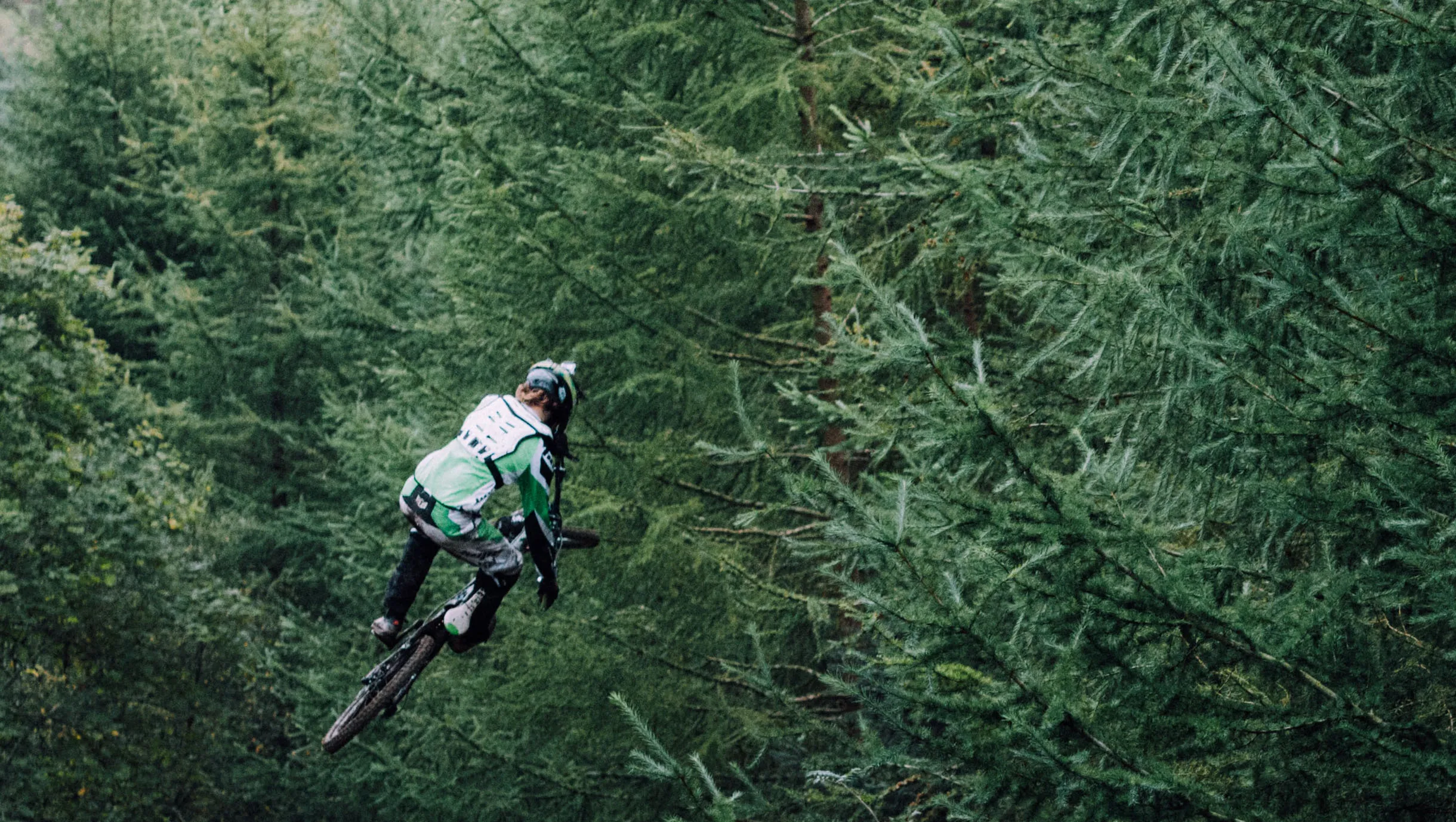 Mountainbiker auf einem Trail zwischen dichten Nadelbäumen