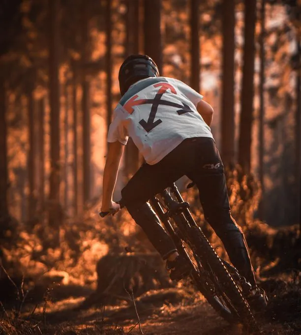 Mountainbiker von hinten auf einem Waldtrail im warmen Licht des späten Abends.