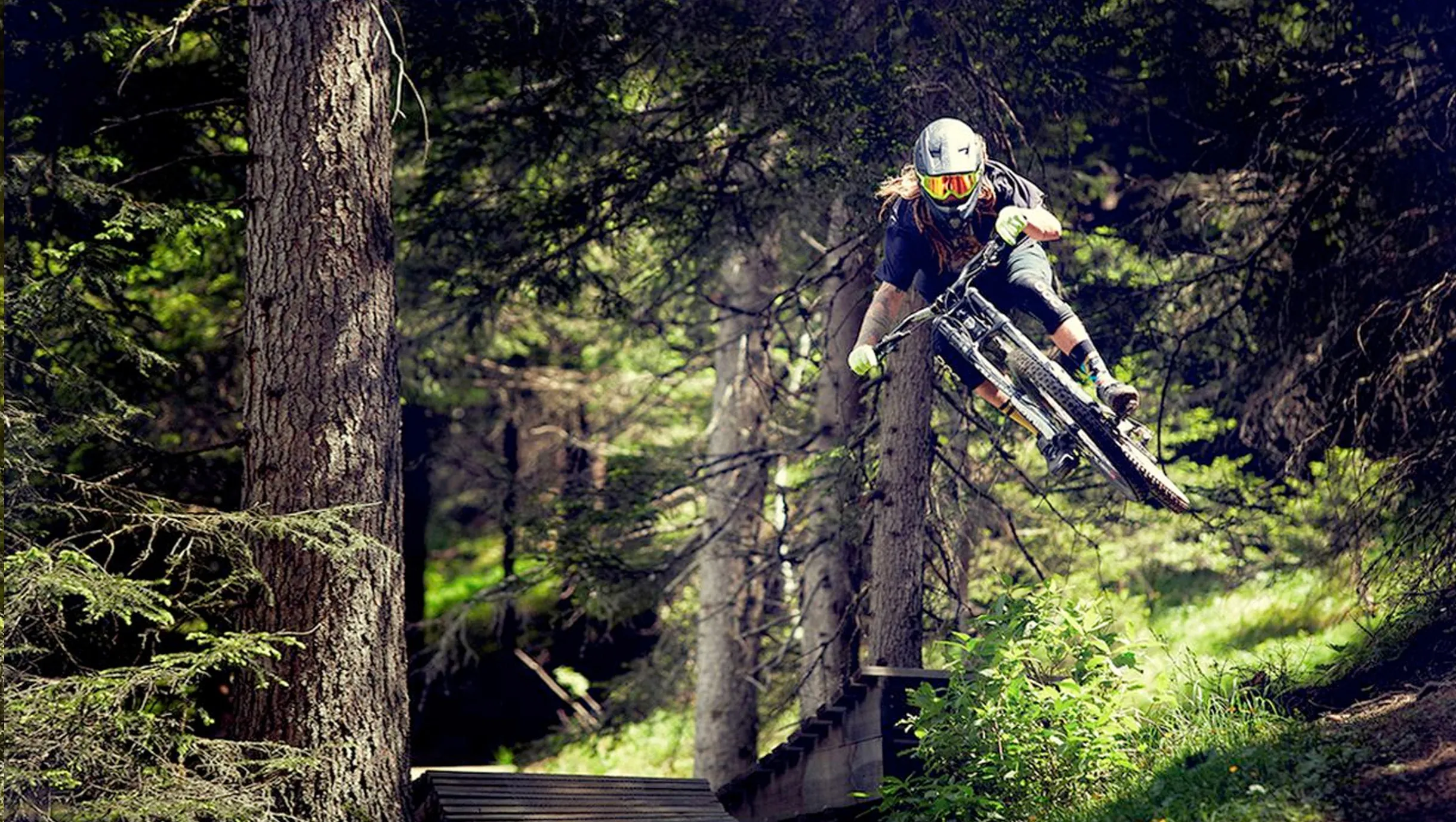 Mountainbiker springt über einen Holzsteg durch einen sonnigen Nadelwald.