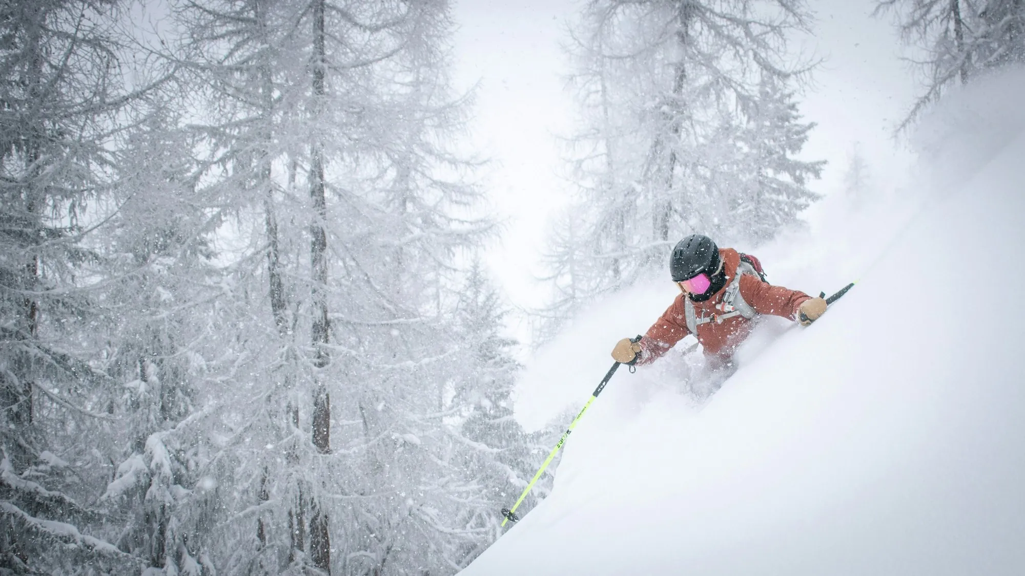 Skifahrerin zieht eine Spur durch den Tiefschnee zwischen verschneiten Lärchen