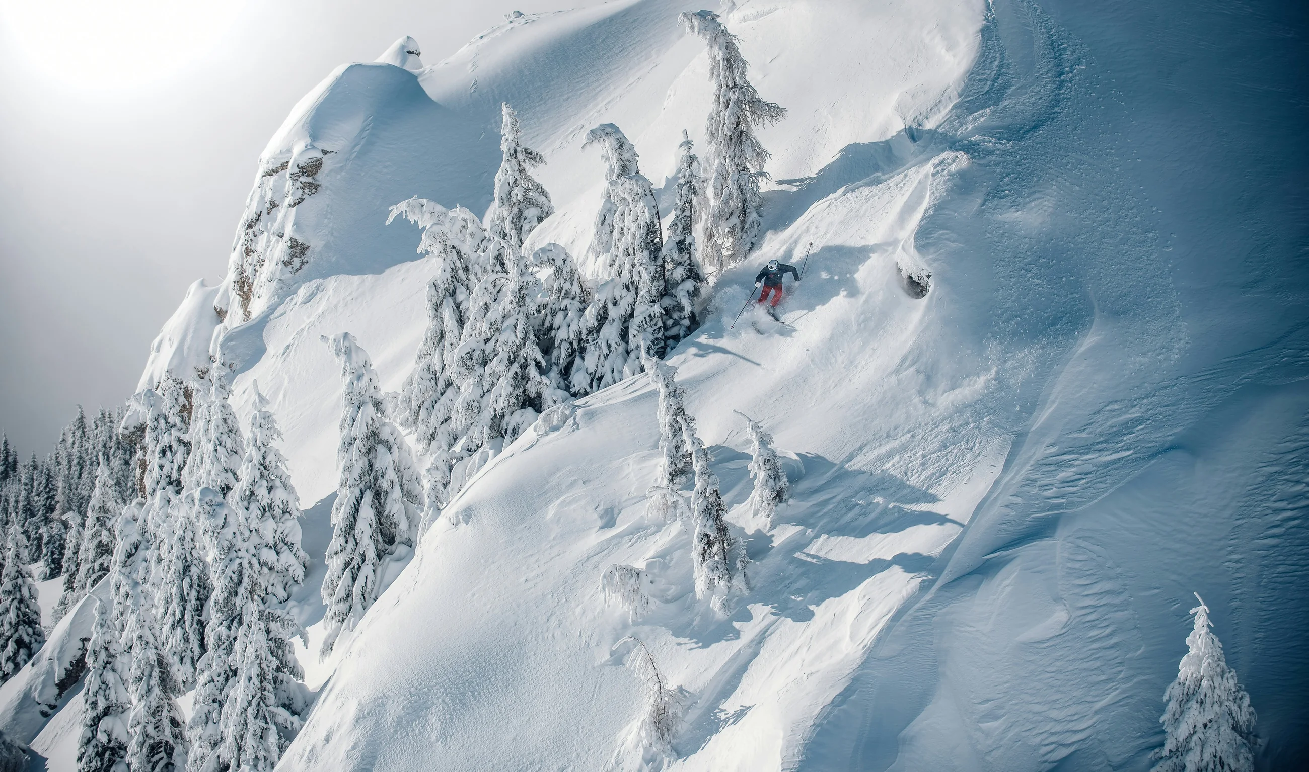 Skifahrer im Schwung an einem verschneiten Waldhang, dahinter die Bergkette